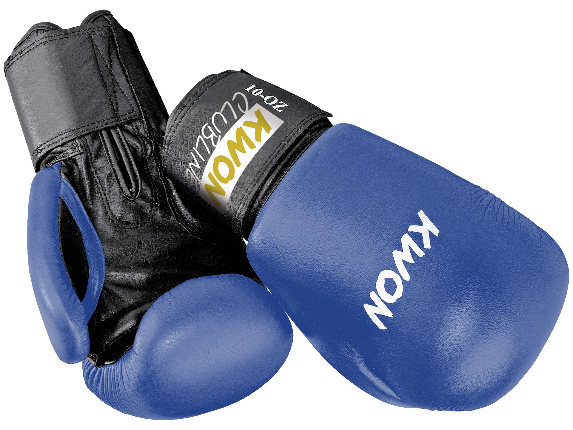 Boxhandschuhe POINTER 10 oz, in 4 Farben