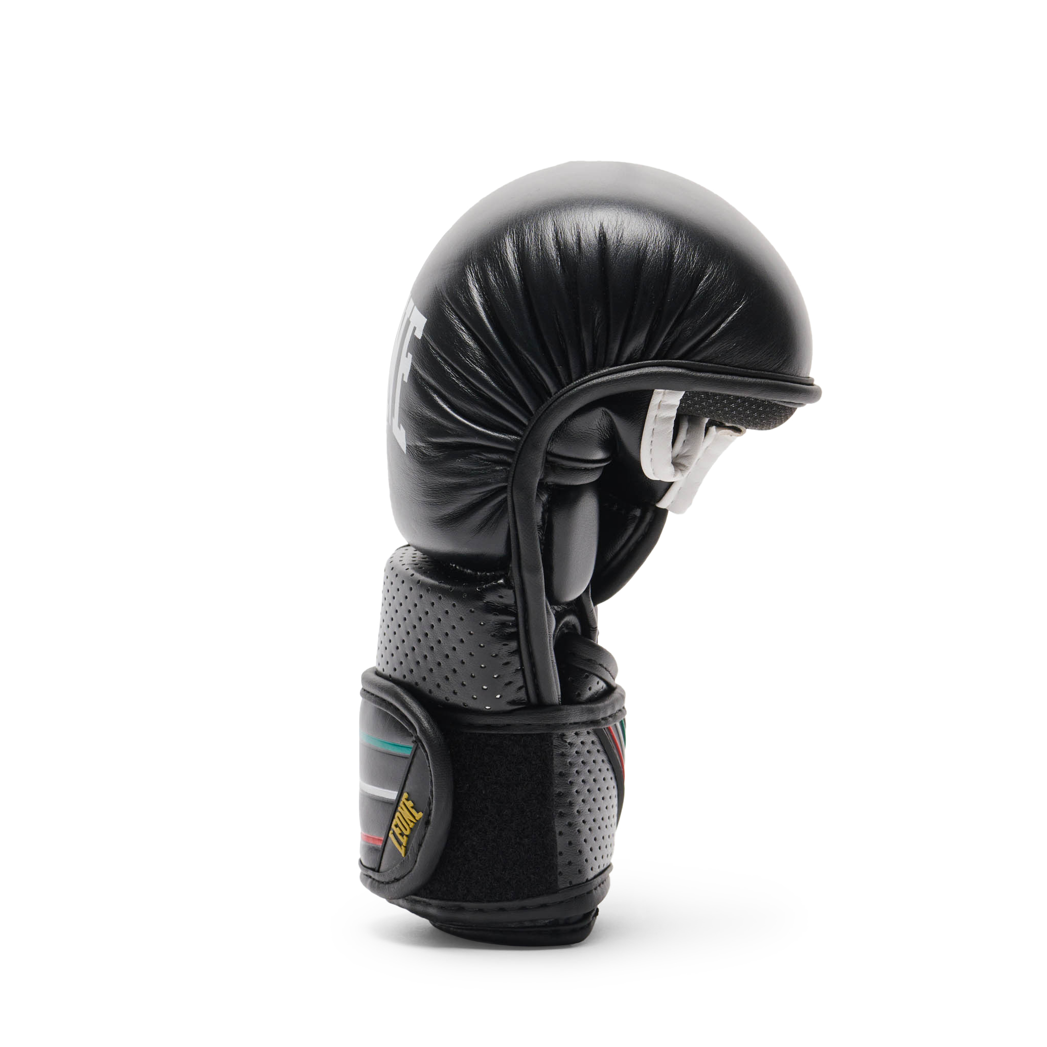 GP122_01_3_MMA-Boxhandschuhe_Leone