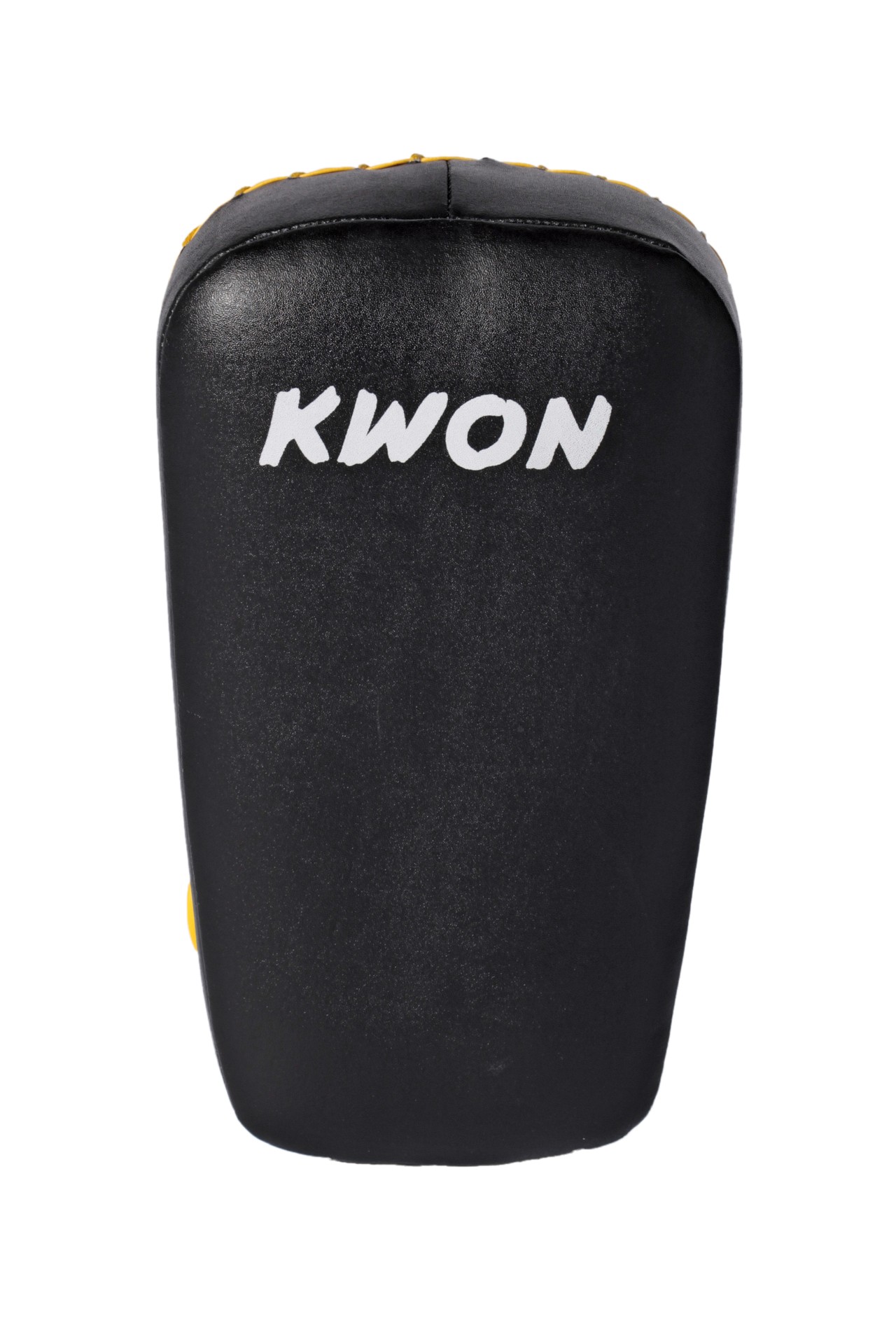 Arm Mitt Muay Thai