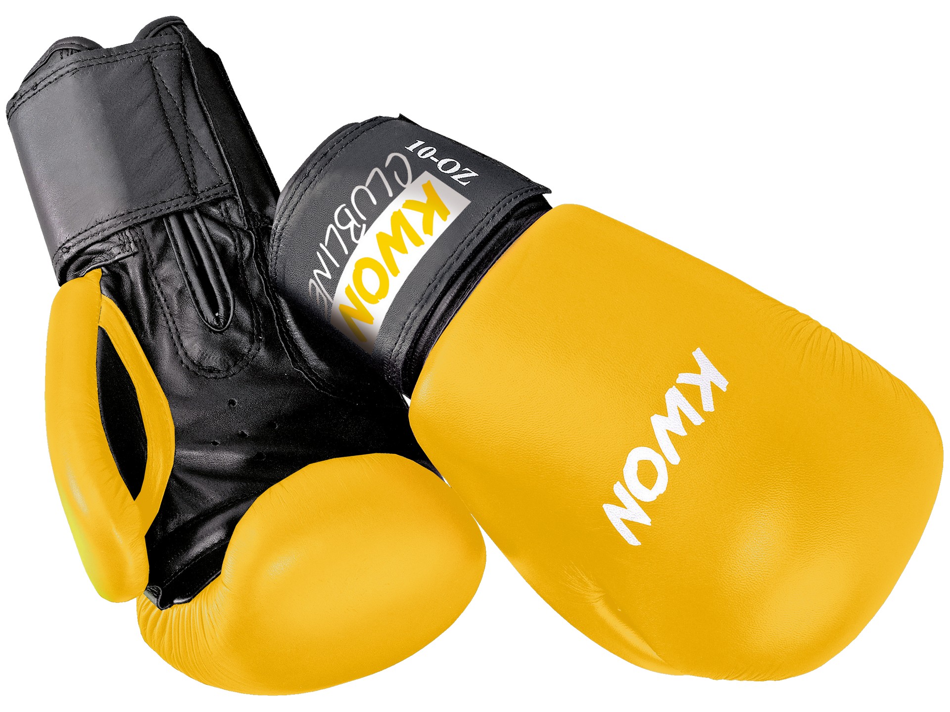 Boxhandschuhe POINTER 10 oz, in 4 Farben